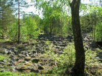 DSCN1816.JPG